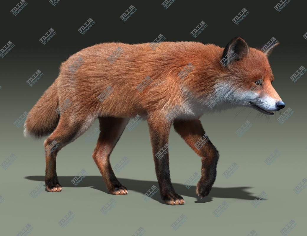 images/goods_img/202104091/Red Fox(FUR)(RIGGED)/1.jpg